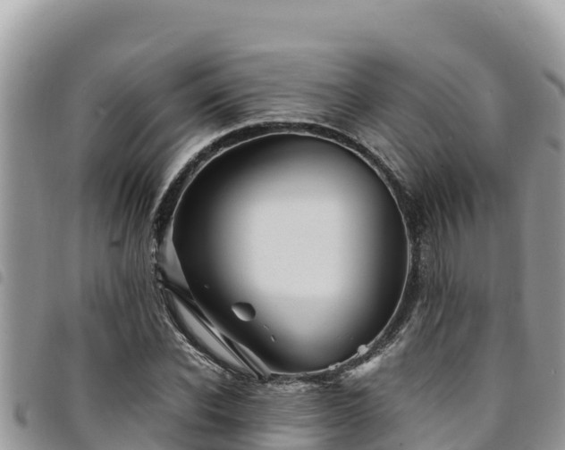 X0000094930926200711291331