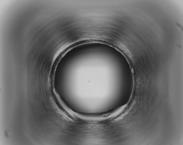 X0000094930928200711291331