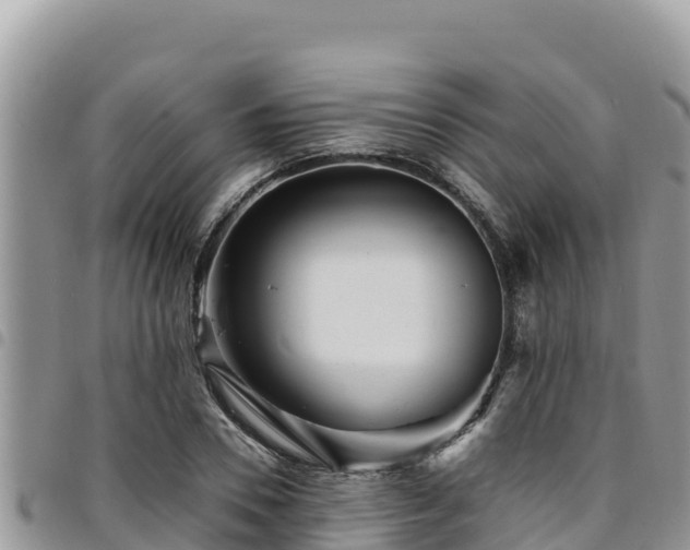 X0000094930930200711291331
