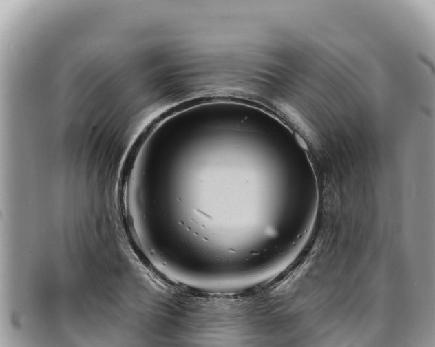 X0000094930932200711291331