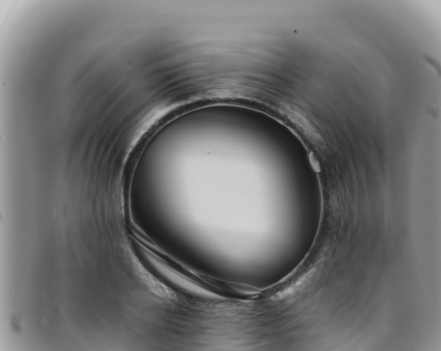 X0000094930934200711291331