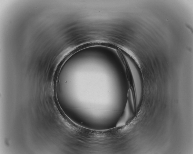 X0000094930935200711291331