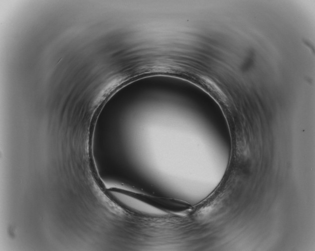 X0000094930938200711291331