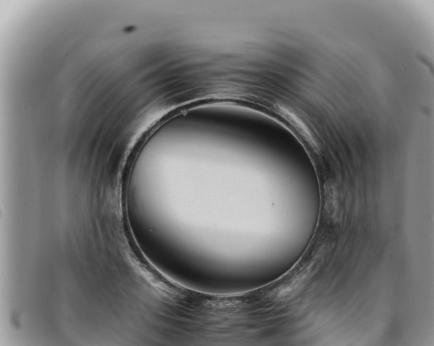 X0000094930939200711291331
