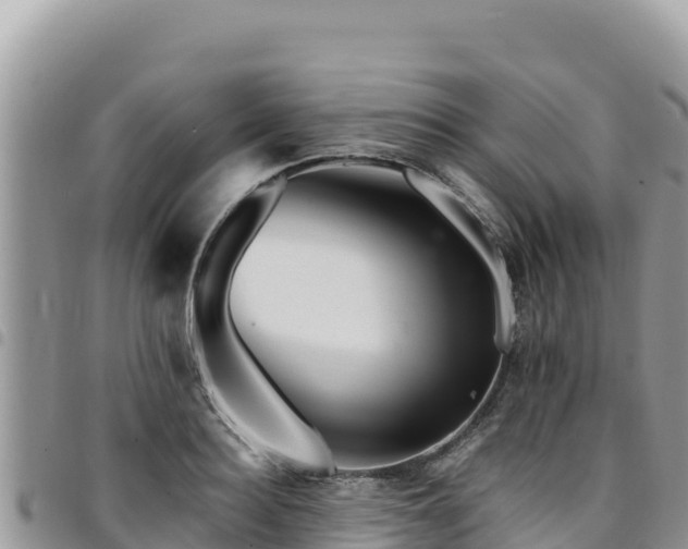 X0000094930940200711291331