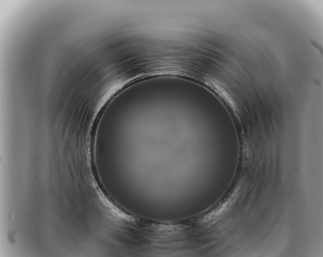 X0000094930941200711291331