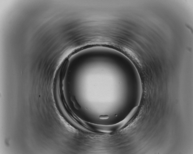 X0000094930942200711291331