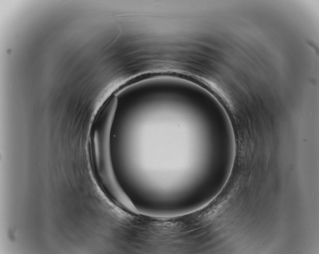 X0000094930943200711291331