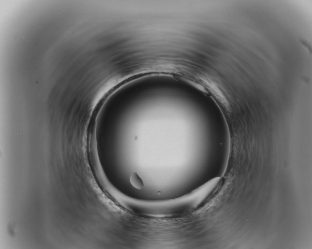 X0000094930944200711291331