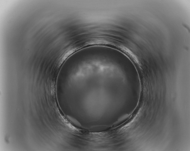 X0000094930945200711291331