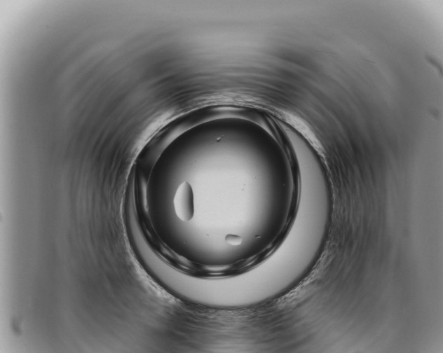 X0000094930946200711291331