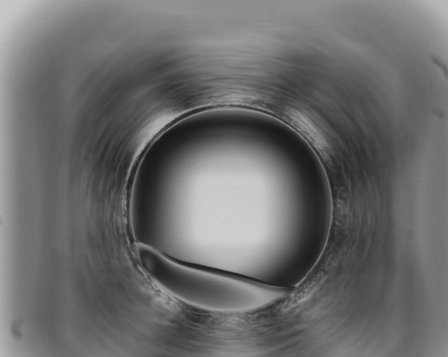 X0000094930948200711291331