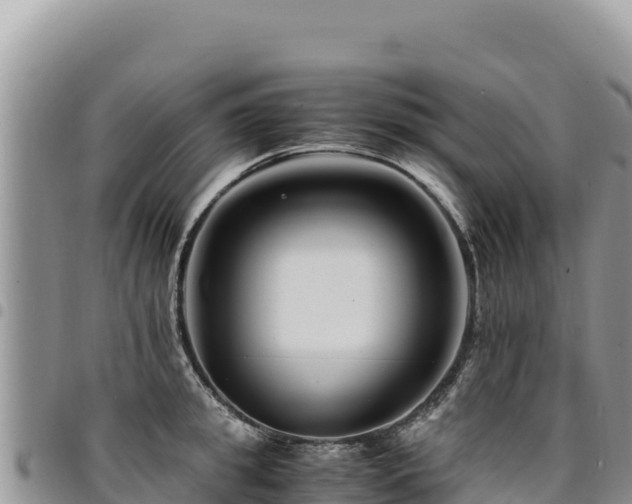 X0000094930949200711291332