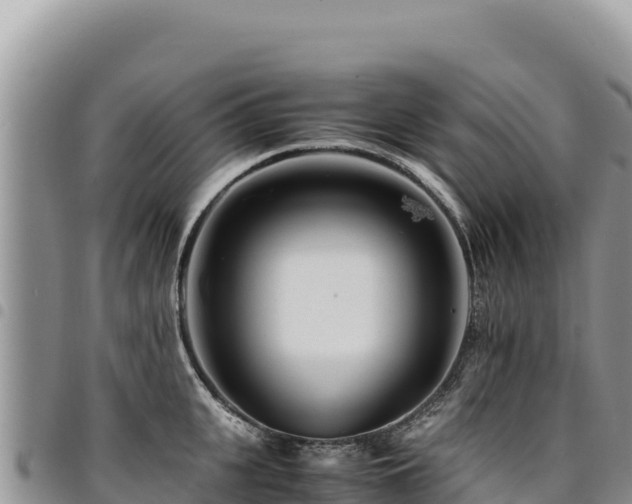 X0000094930951200711291332