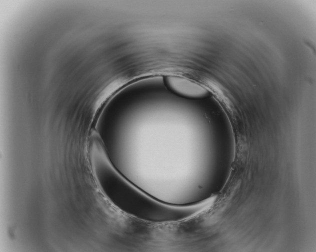 X0000094930952200711291332