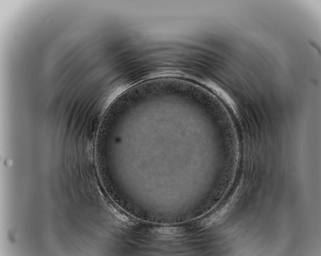 X0000094930953200711291332