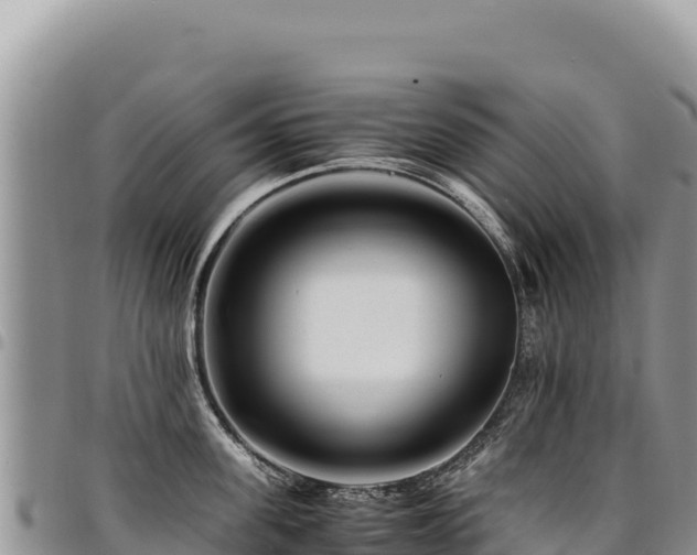 X0000094930955200711291332