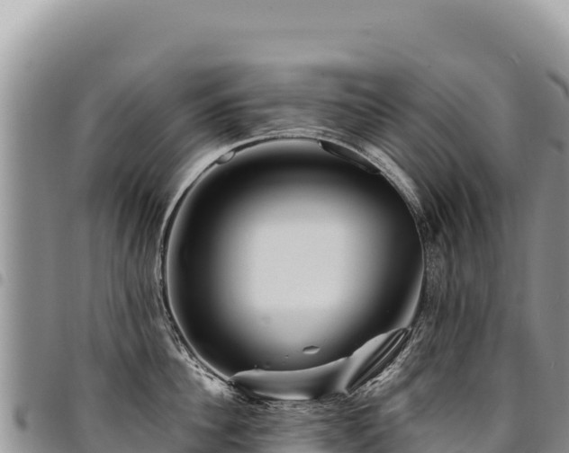 X0000094930956200711291332