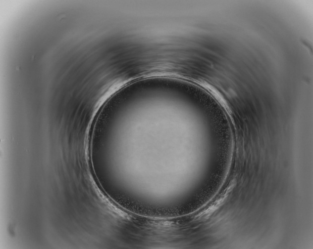 X0000094930957200711291332