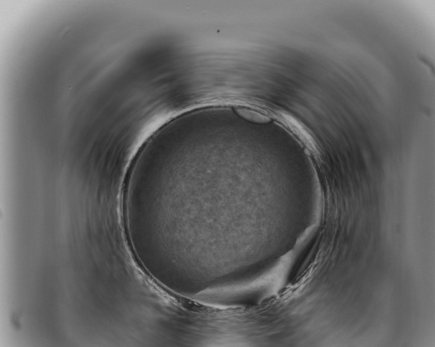 X0000094930958200711291332