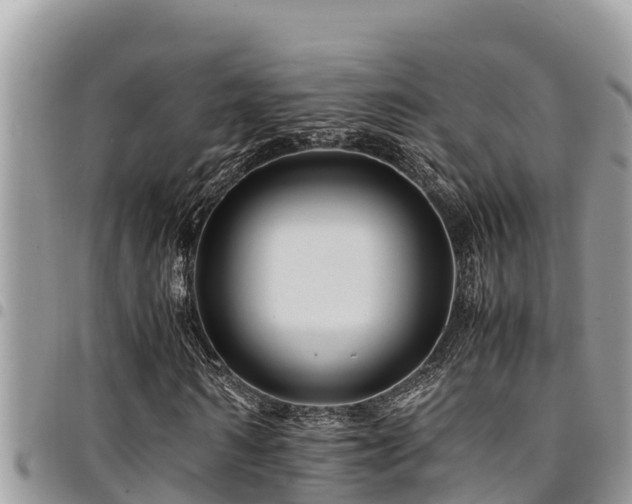 X0000094930962200711291331