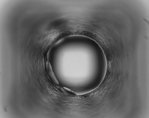 X0000094930963200711291331