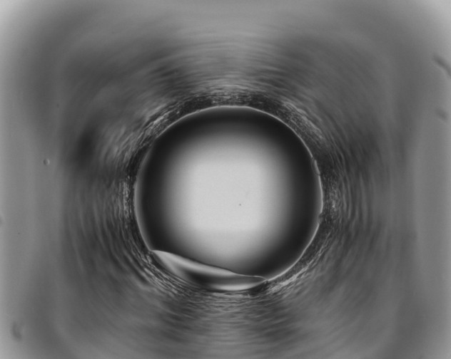 X0000094930964200711291331