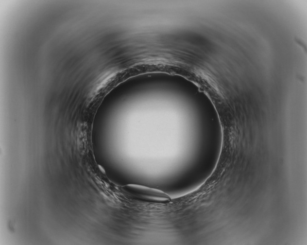 X0000094930968200711291331