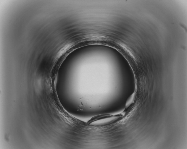 X0000094930970200711291331