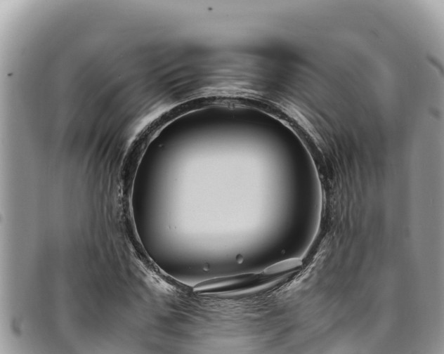 X0000094930971200711291331