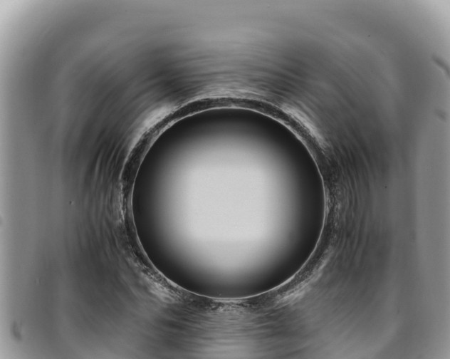 X0000094930974200711291331