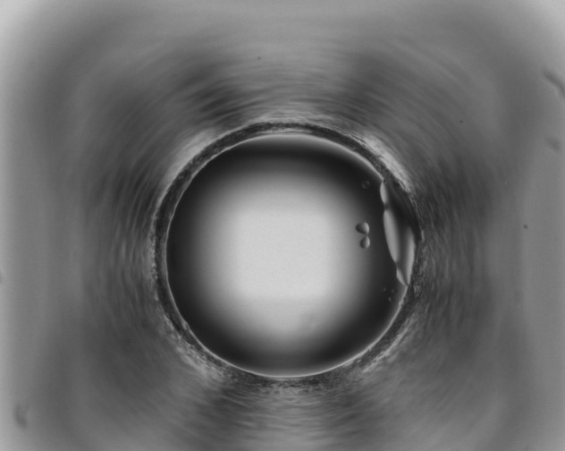 X0000094930976200711291331