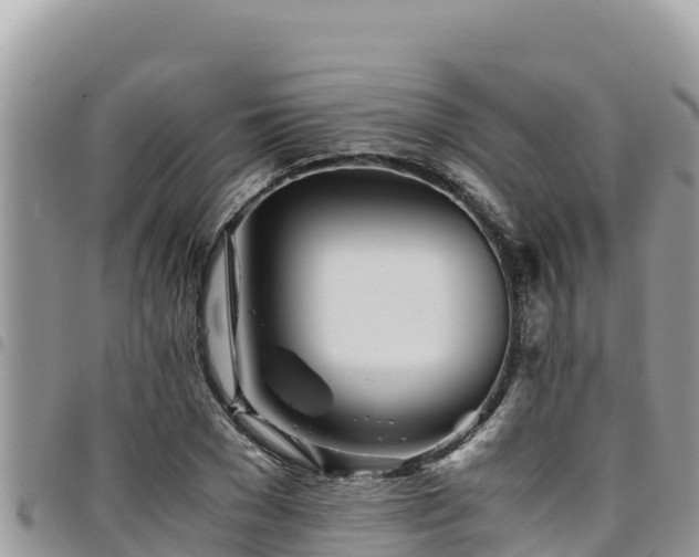 X0000094930977200711291331