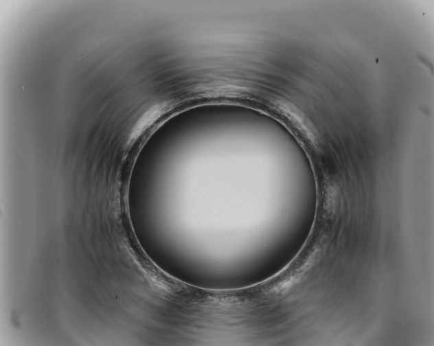 X0000094930978200711291331