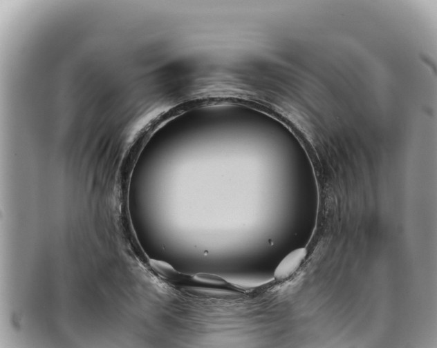 X0000094930979200711291331