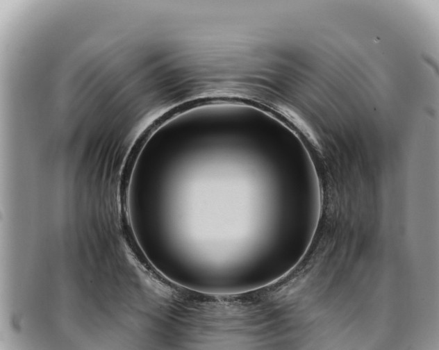 X0000094930980200711291331