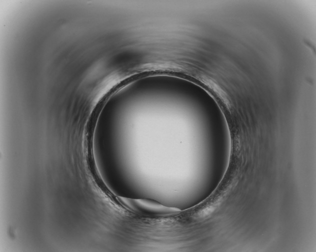 X0000094930983200711291331