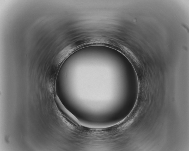 X0000094930985200711291331