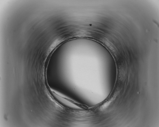 X0000094930986200711291331