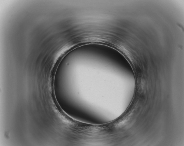 X0000094930987200711291331