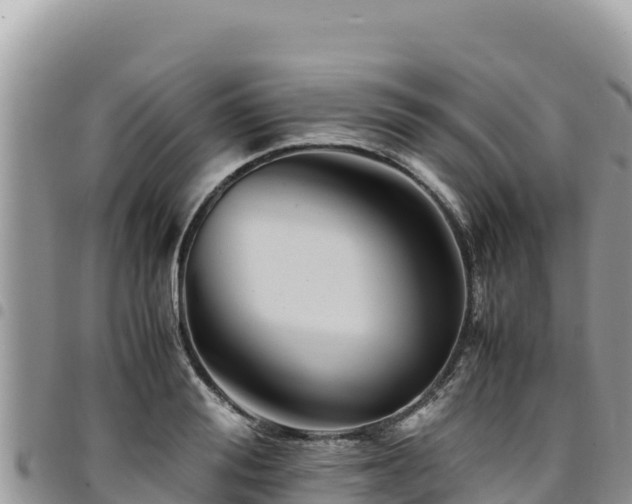 X0000094930988200711291331