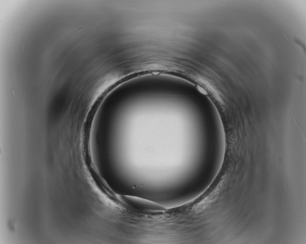 X0000094930991200711291331