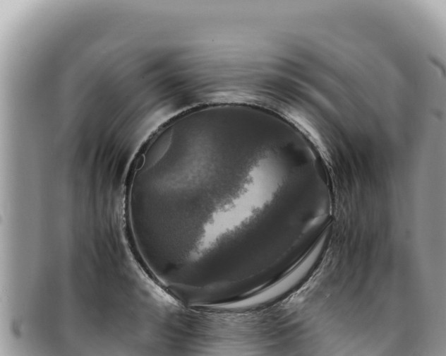 X0000094930992200711291331