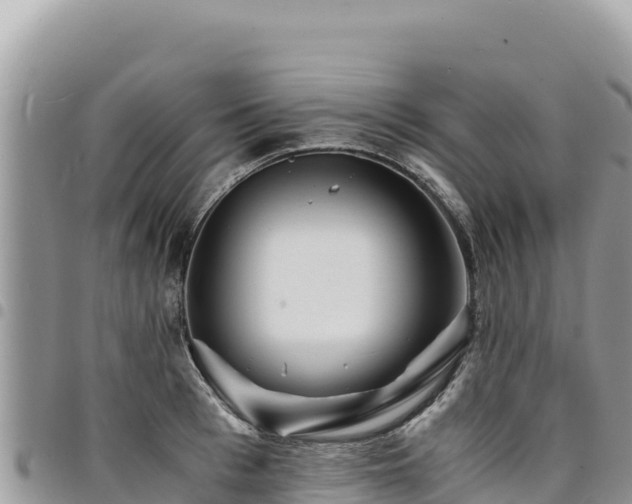 X0000094930993200711291331