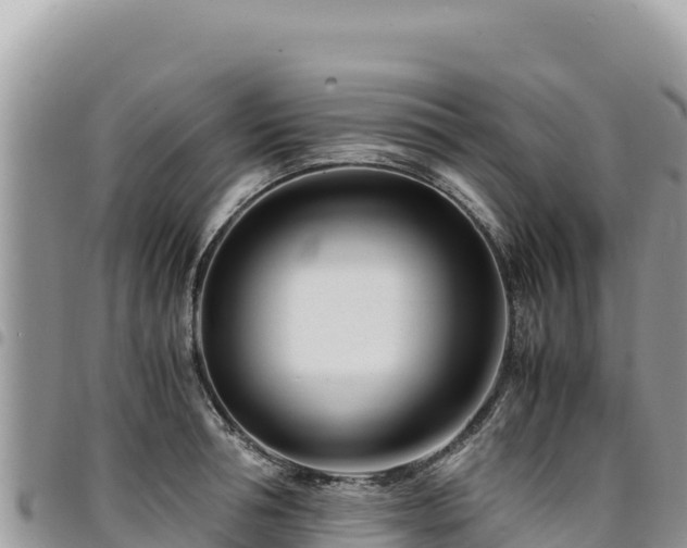 X0000094930994200711291331