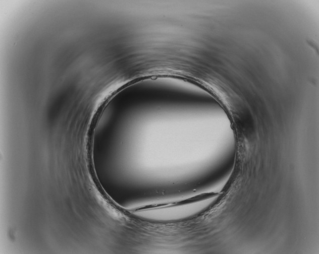 X0000094930995200711291331