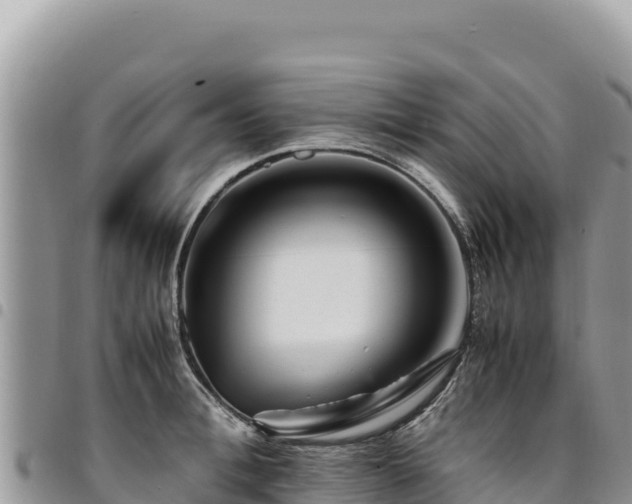 X0000094930996200711291331