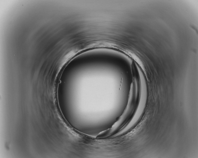 X0000094930997200711291331