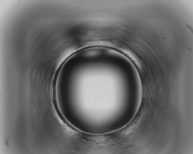 X0000094930999200711291330