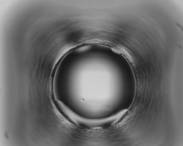 X0000094931000200711291330